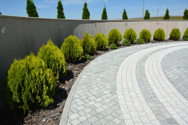 Best Local Driveway Pavers  in Hemby Bridge, NC